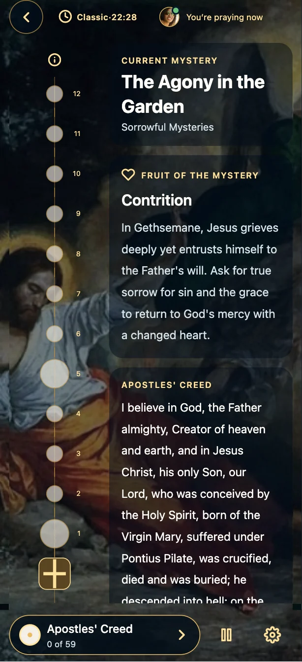 DoIt4Jesus guided Rosary with the current mystery and prayers